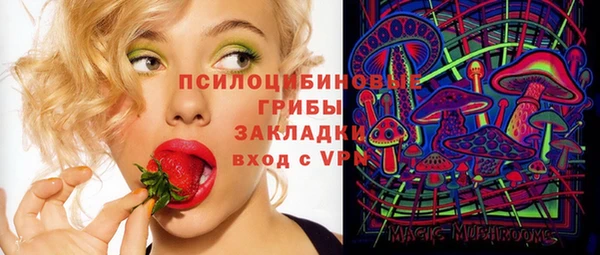 экстази Медвежьегорск